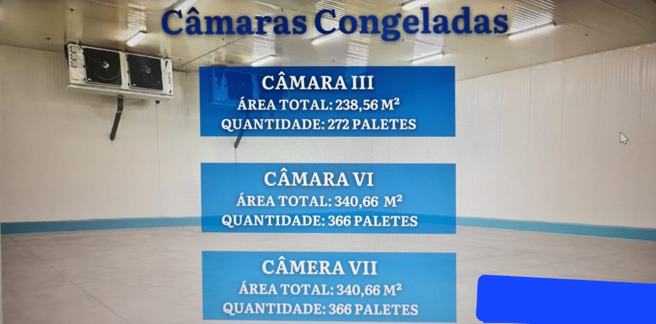 Depósito-Galpão-Armazém à venda, 70000m² - Foto 11