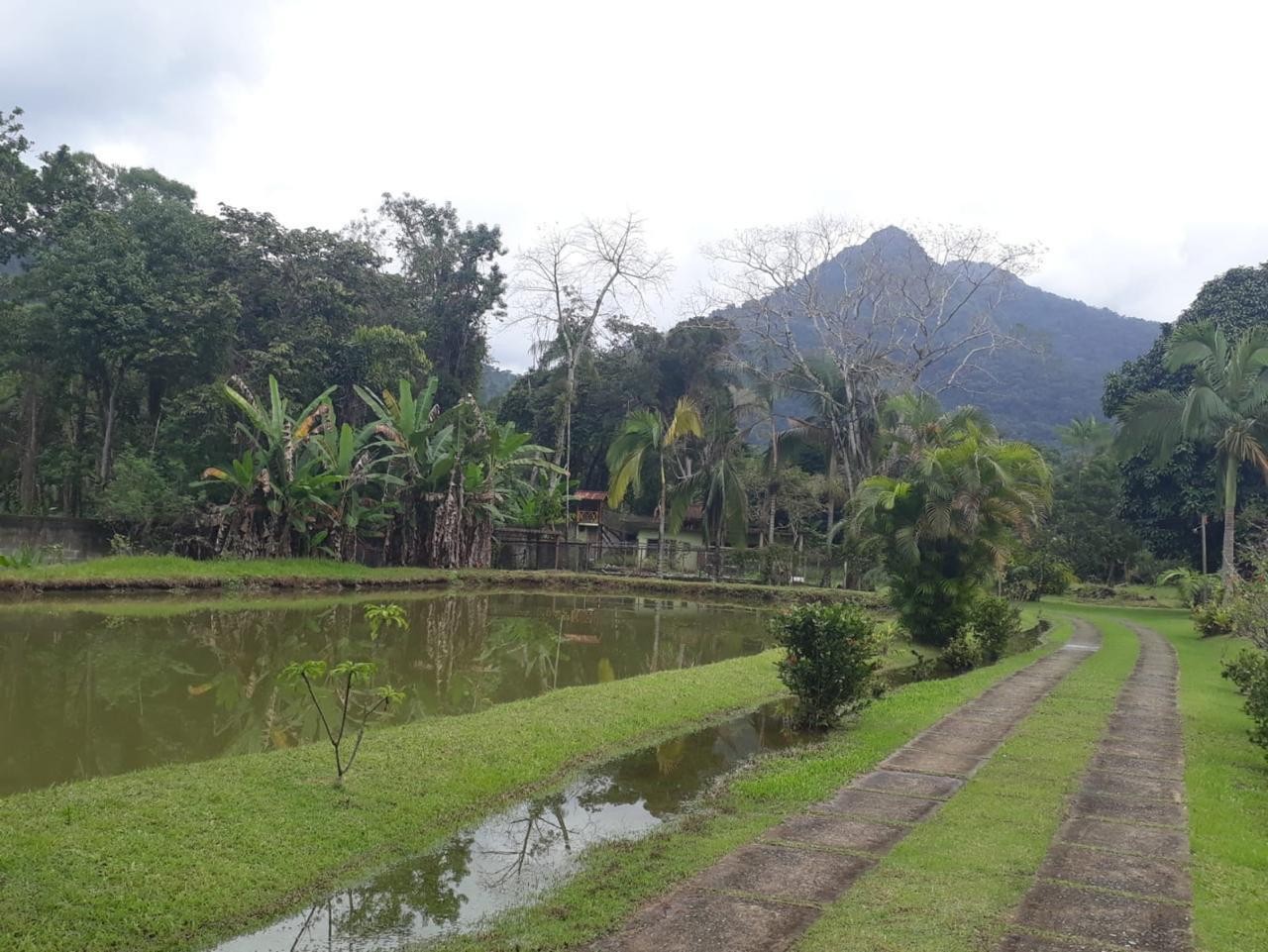 Sítio à venda com 8 quartos, 30000m² - Foto 21