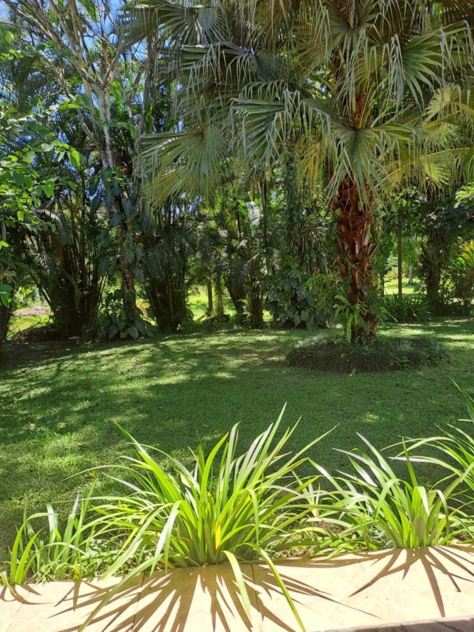 Sítio à venda com 8 quartos, 30000m² - Foto 27