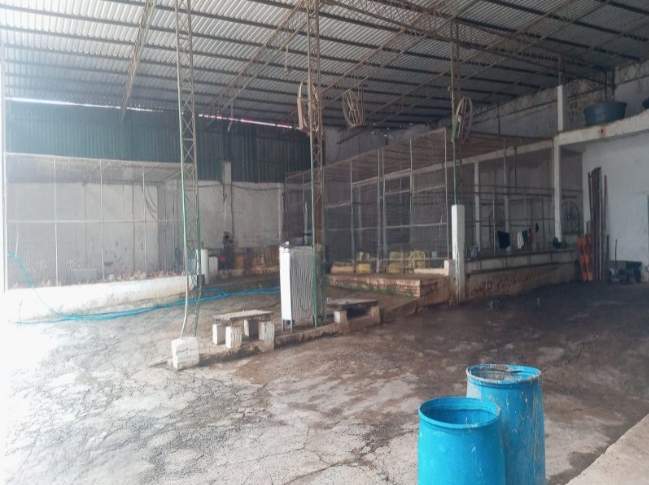 Depósito-Galpão - Foto 1