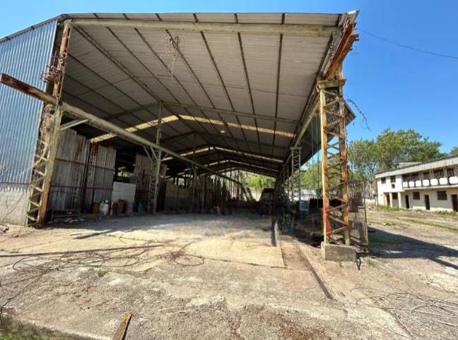 Depósito-Galpão - Foto 1