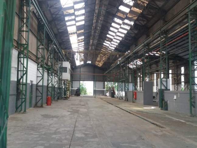 Depósito-Galpão - Foto 1