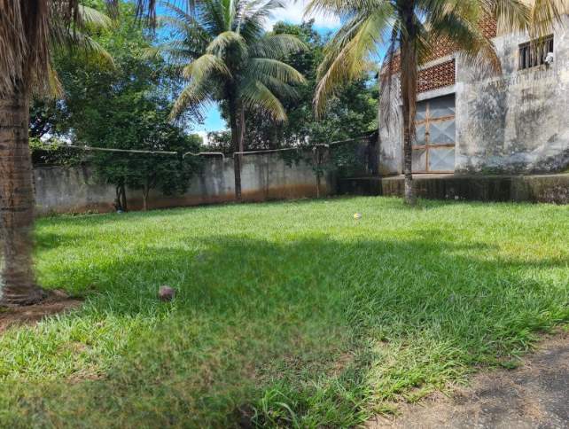 Depósito-Galpão - Foto 1