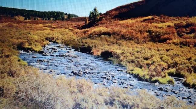 Fazenda, 64 hectares - Foto 1