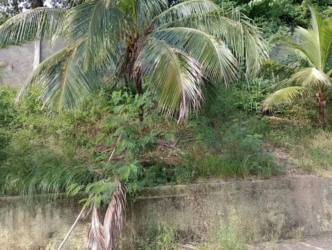 Prédio Inteiro, 5700 m² - Foto 14