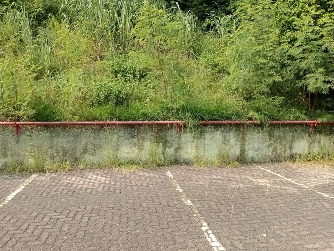 Prédio Inteiro, 5700 m² - Foto 15