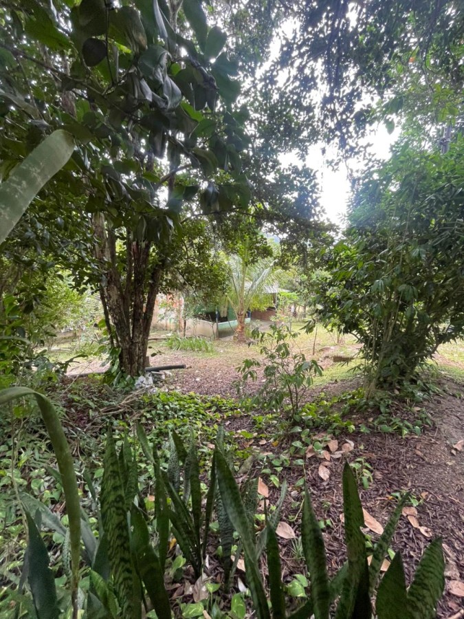 Chácara, 1 quarto, 8000 m² - Foto 9