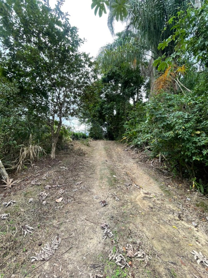 Chácara, 1 quarto, 8000 m² - Foto 10