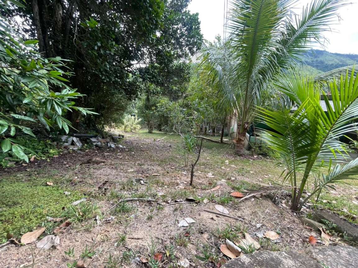 Chácara, 1 quarto, 8000 m² - Foto 11