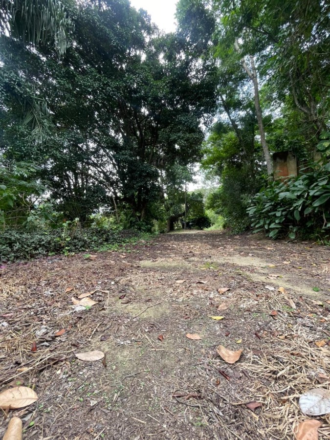 Chácara, 1 quarto, 8000 m² - Foto 12