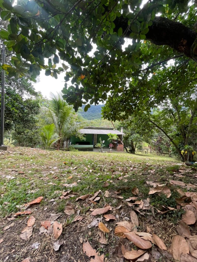 Chácara, 1 quarto, 8000 m² - Foto 3