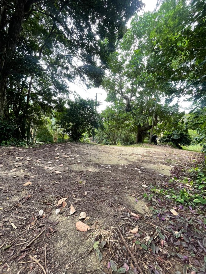Chácara, 1 quarto, 8000 m² - Foto 13