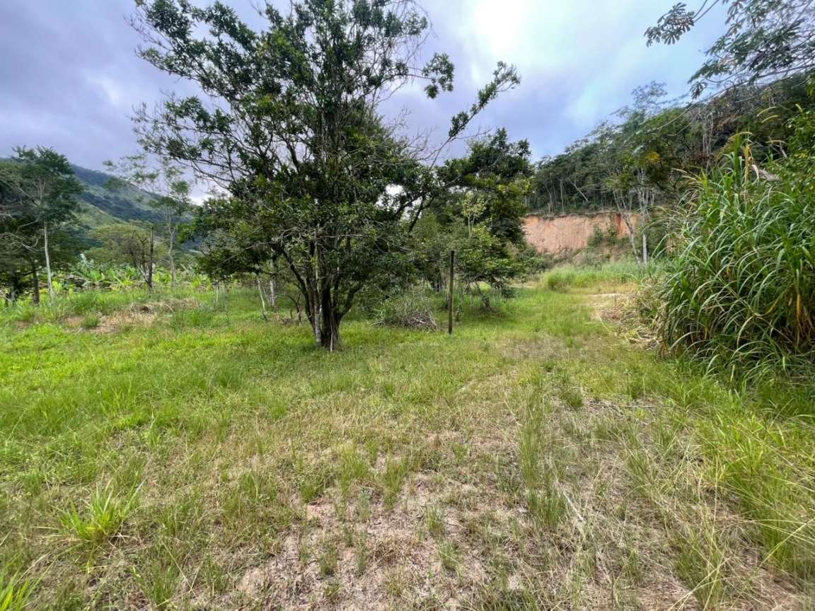 Chácara, 1 quarto, 8000 m² - Foto 14