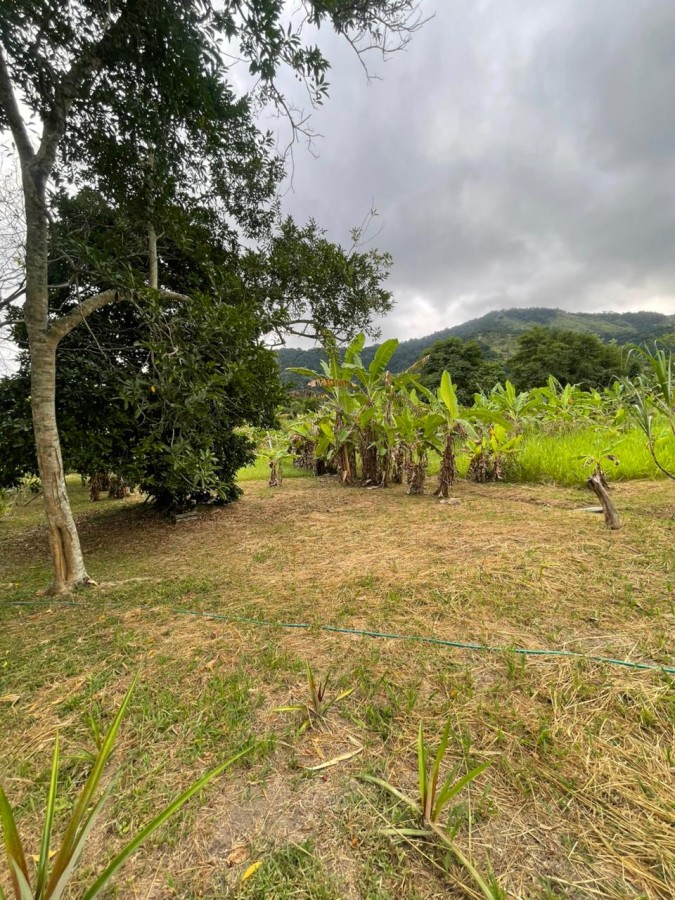 Chácara, 1 quarto, 8000 m² - Foto 15