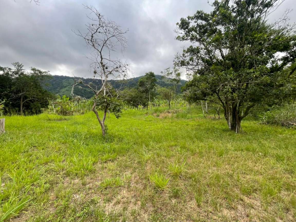 Chácara, 1 quarto, 8000 m² - Foto 16