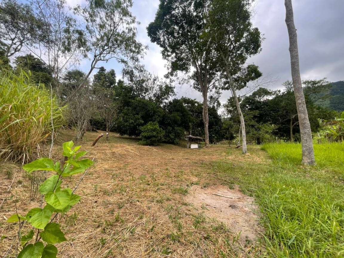 Chácara, 1 quarto, 8000 m² - Foto 18