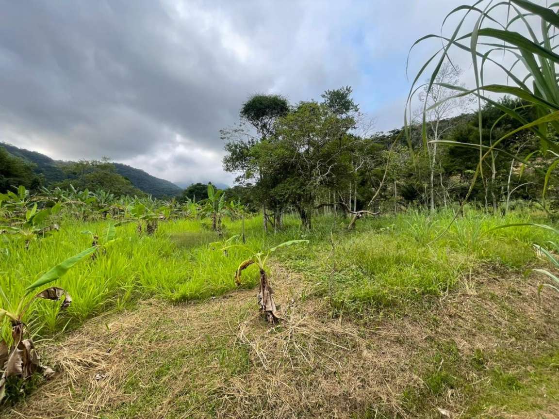 Chácara, 1 quarto, 8000 m² - Foto 19