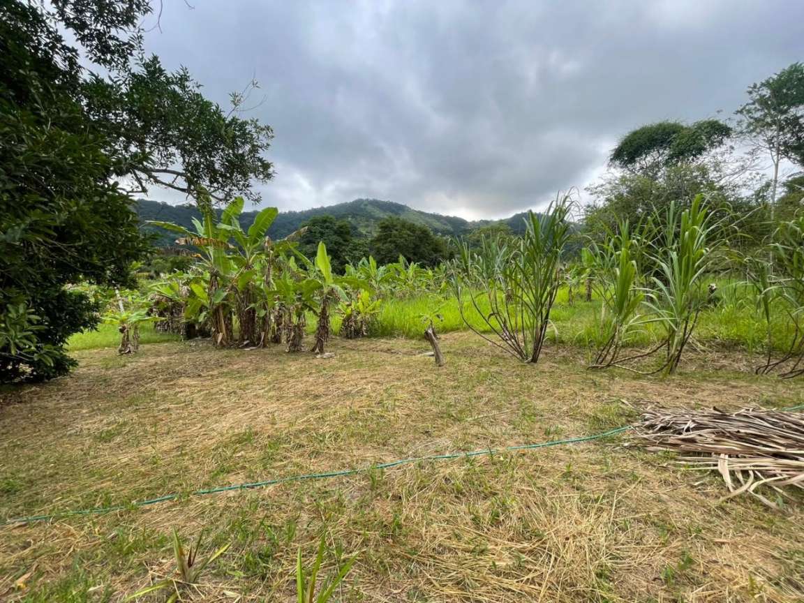 Chácara, 1 quarto, 8000 m² - Foto 20