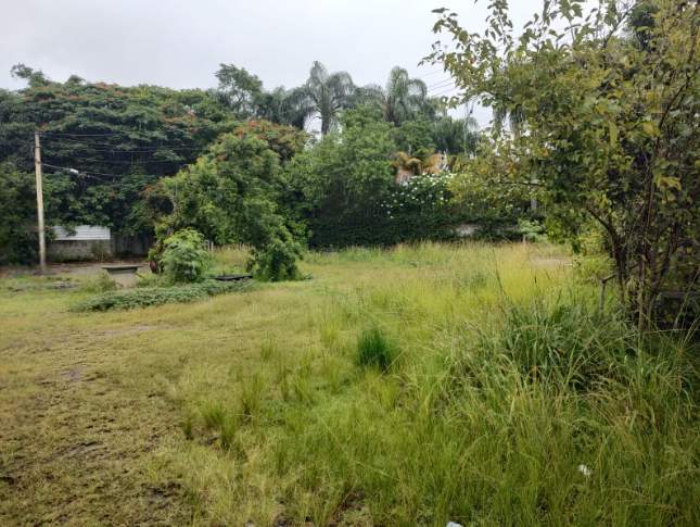 Loteamento e Condomínio, 3500 m² - Foto 5