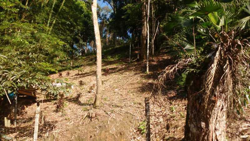 Terreno, 1 hectares - Foto 23