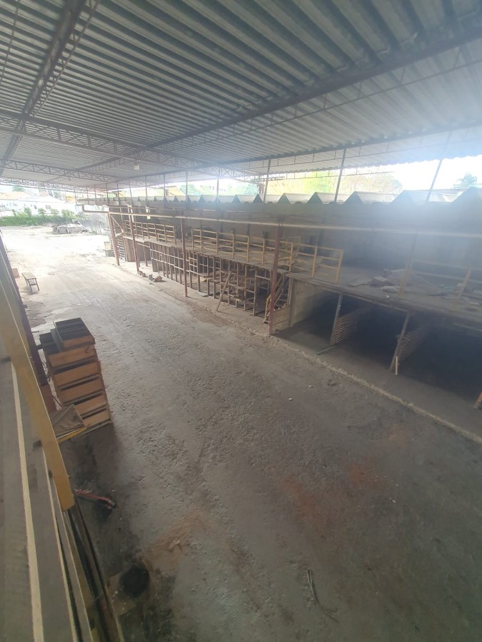 Loja-Salão, 1393 m² - Foto 17