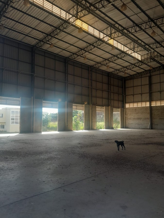 Depósito-Galpão, 3800 m² - Foto 22