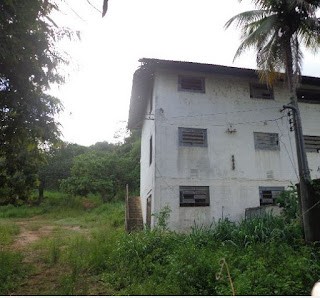 Terreno, 4 hectares - Foto 3