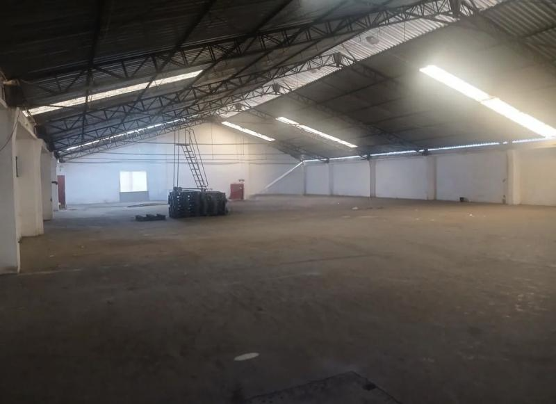 Depósito-Galpão, 5500 m² - Foto 17